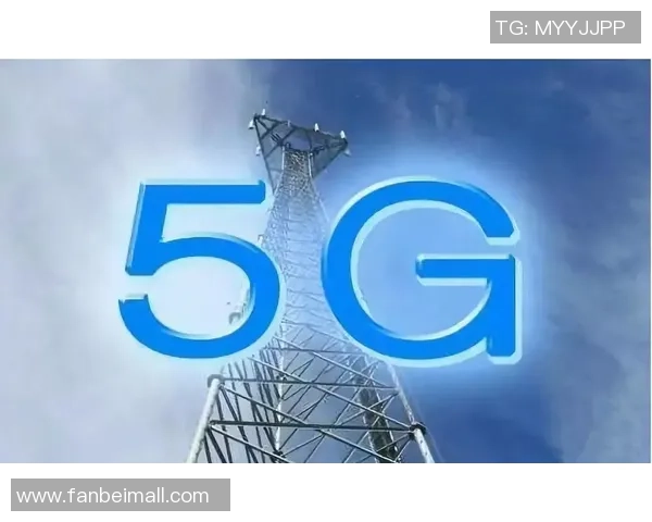 从零开始掌握飞盘技巧与战术全面指南助你成为飞盘高手