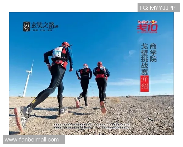 与陈伟对话：探索他在攀岩领域的成长与挑战之路