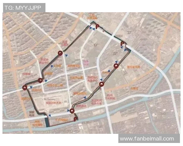 杭州极限运动队运营分析与发展策略探讨